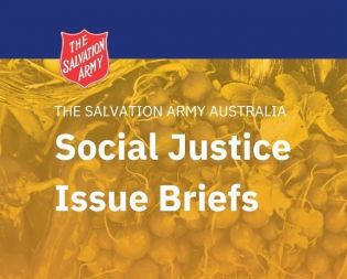 Social Justice Issue Briefs